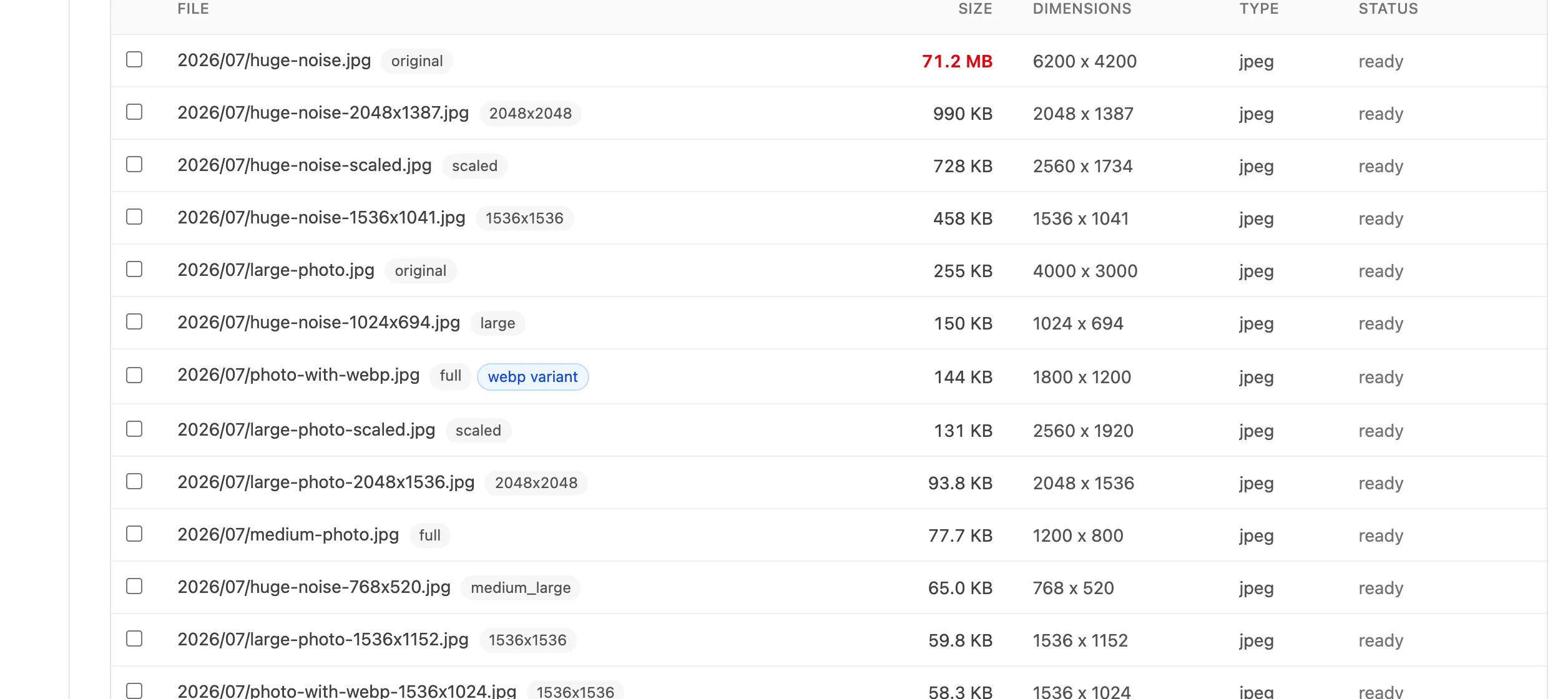 The image list sorted largest first, with per-image size, dimensions, type, and status columns and batch selection.
